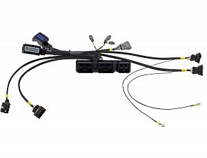 AEM Infinity 708/710/712 Plug & Play Coyote Engine Harness Adapter